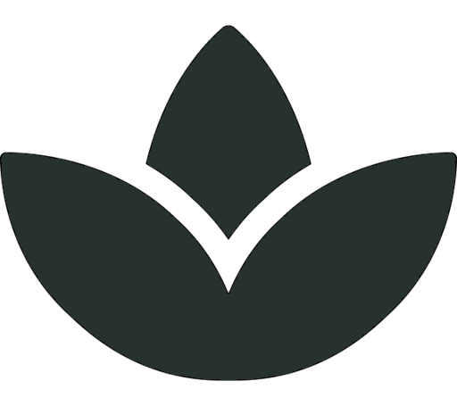BodhiStreams